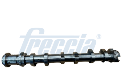Camshaft FRECCIA CM05-2428
