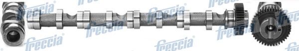 FRECCIA CM05-2195 Camshaft