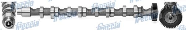 FRECCIA CM05-2196 Camshaft