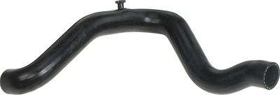 Radiator Hose GATES 05-3142