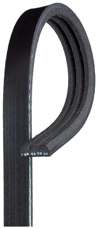 GATES 3PK545 V-Ribbed Belt