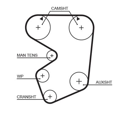 Timing Belt GATES 5013