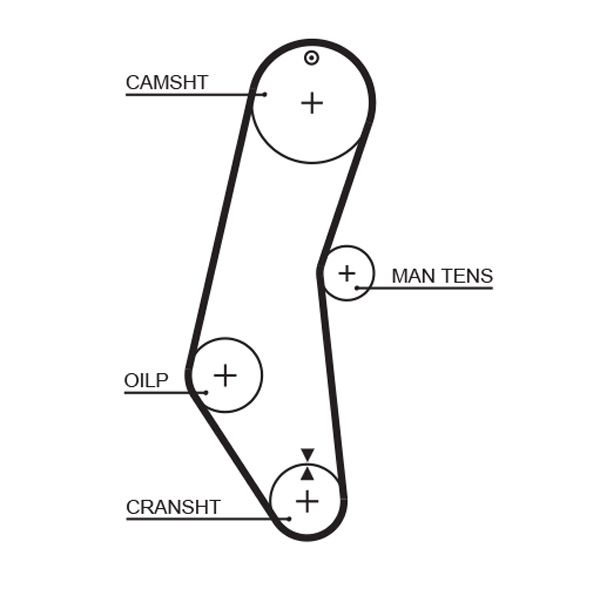 GATES 5018 Timing Belt