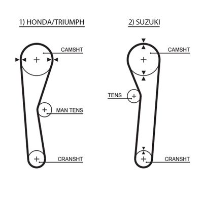 Timing Belt GATES 5019