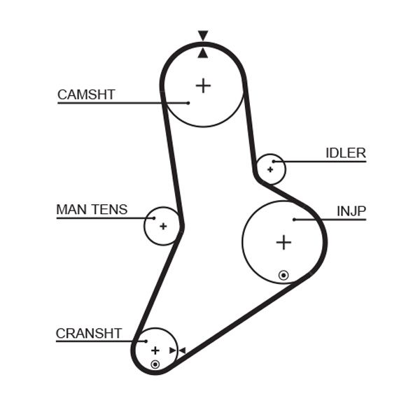 GATES 5038 Timing Belt