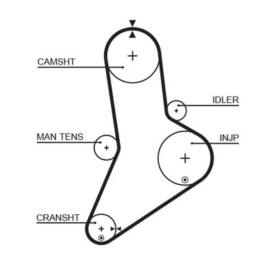Timing Belt GATES 5038