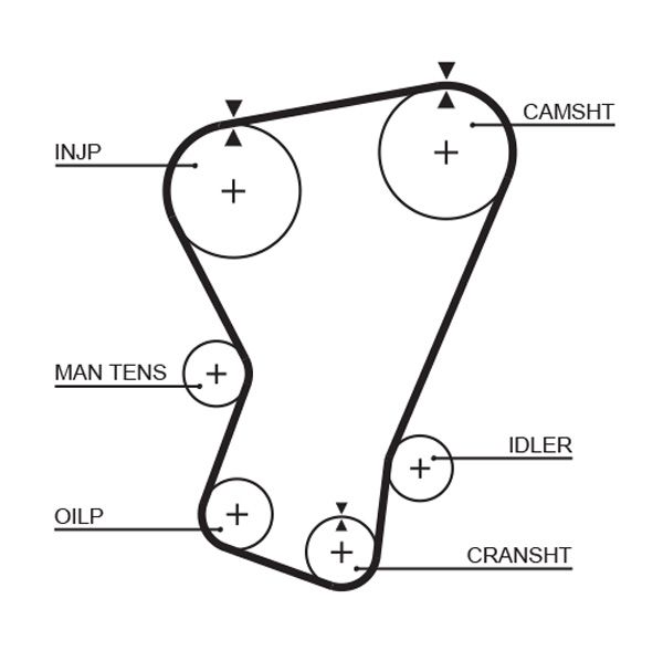 GATES 5065 Timing Belt