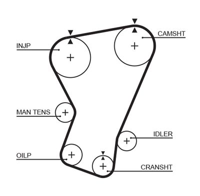Timing Belt GATES 5065
