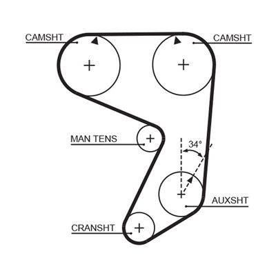 Timing Belt GATES 5081