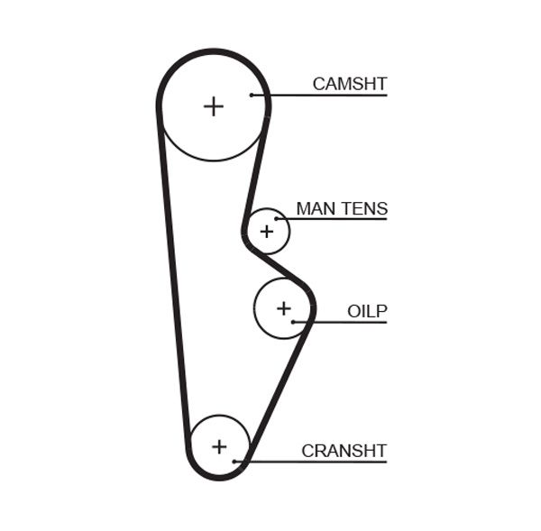GATES 5082XS Timing Belt