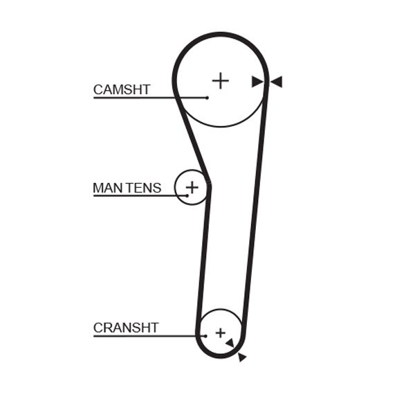 GATES 5091 Timing Belt