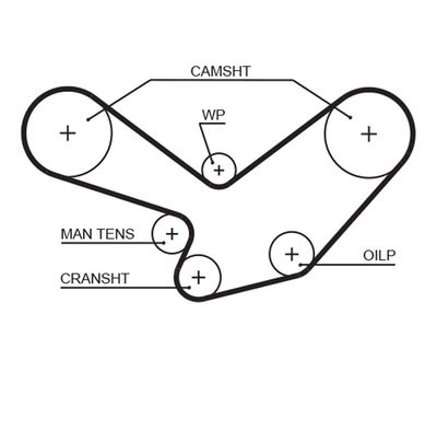 Timing Belt GATES 5096