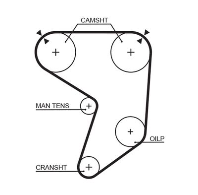 Timing Belt GATES 5196