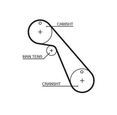 Timing Belt GATES 5209