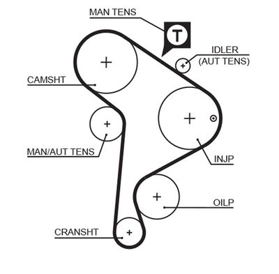 Timing Belt GATES 5223XS