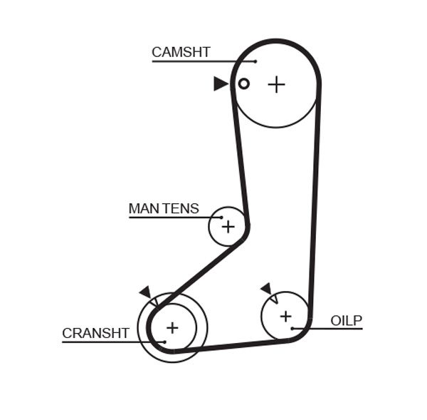 GATES 5254XS Timing Belt