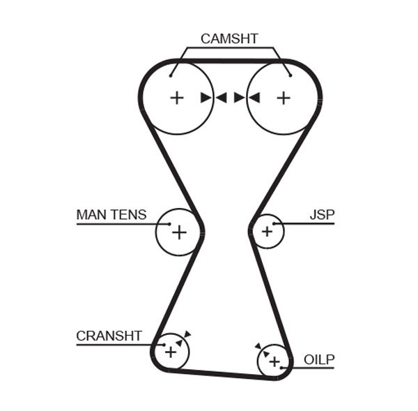 GATES 5255XS Timing Belt