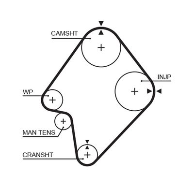 Timing Belt GATES 5300XS