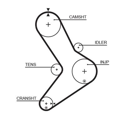 Timing Belt GATES 5334XS