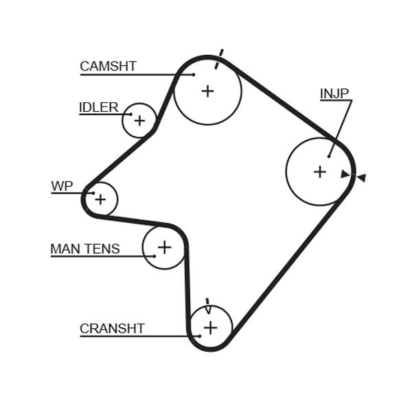 GATES 5354XS Timing Belt