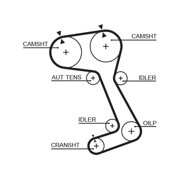 GATES 5364XS Timing Belt