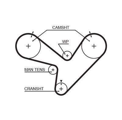 Timing Belt GATES 5366XS