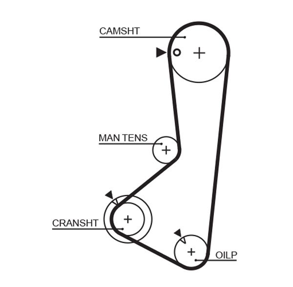 GATES 5372XS Timing Belt