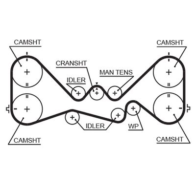 Timing Belt GATES 5384XS