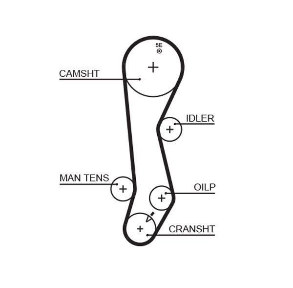 GATES 5389XS Timing Belt