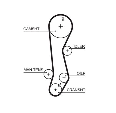 Timing Belt GATES 5389XS