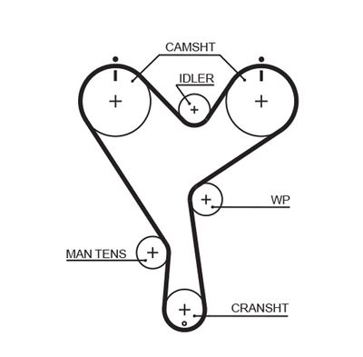 Timing Belt GATES 5402XS