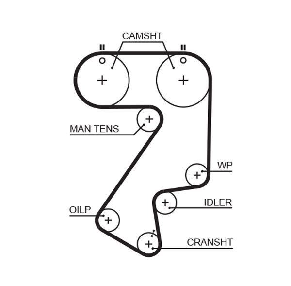 GATES 5404XS Timing Belt