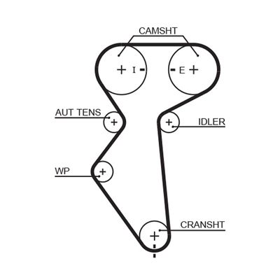 Timing Belt GATES 5419XS