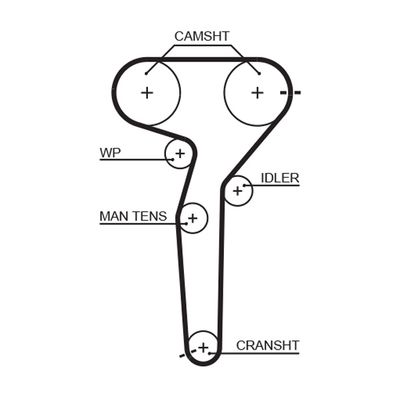 Timing Belt GATES 5423XS