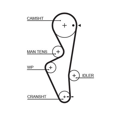 Timing Belt GATES 5430XS