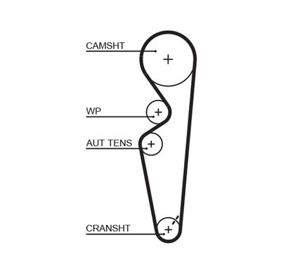 Timing Belt GATES 5431XS