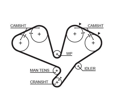 Timing Belt GATES 5442XS