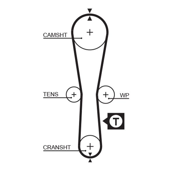 GATES 5454XS Timing Belt
