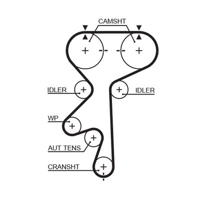 Timing Belt GATES 5461XS