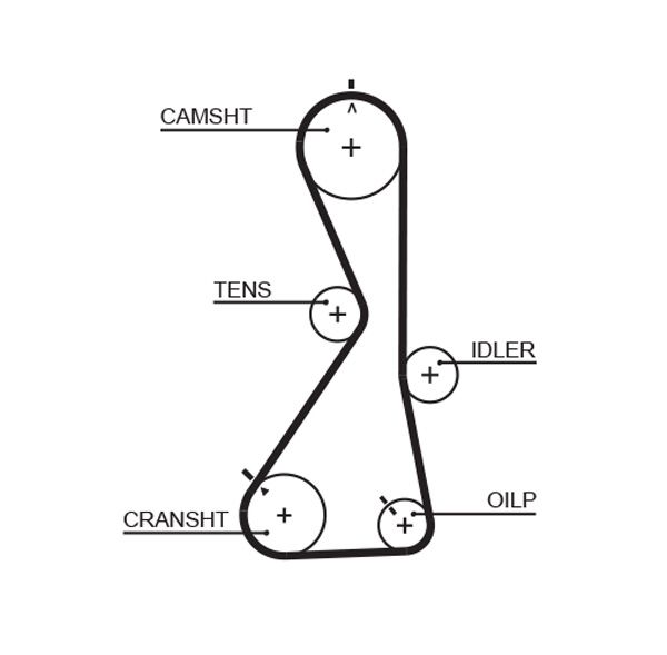 GATES 5481XS Timing Belt