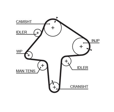 Timing Belt GATES 5482XS