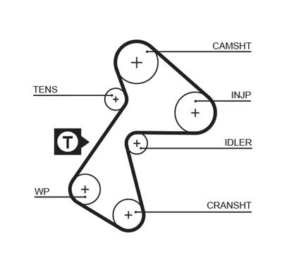 Timing Belt GATES 5484