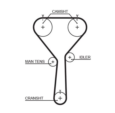 Timing Belt GATES 5487XS