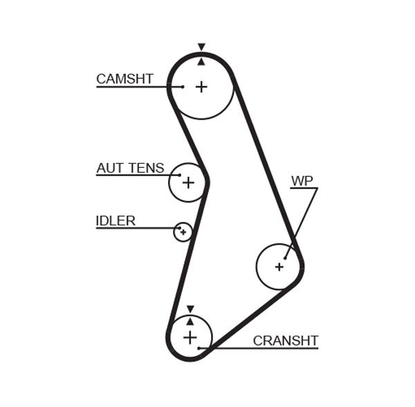 GATES 5491XS Timing Belt