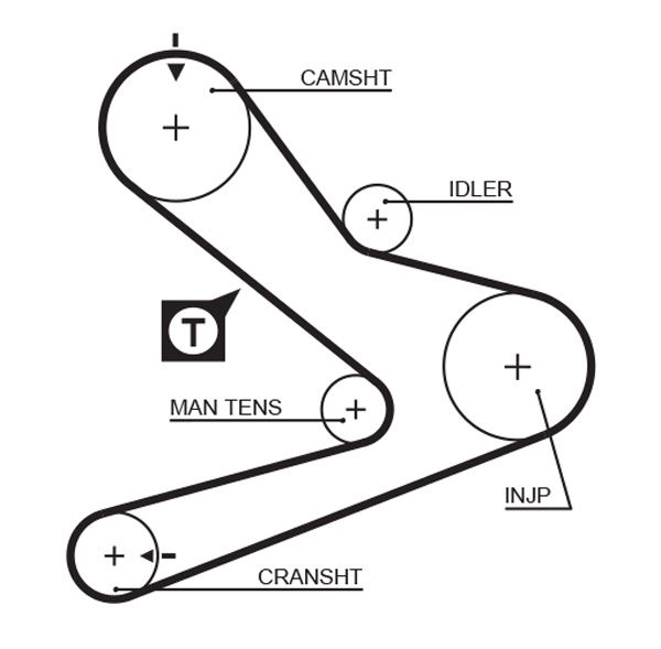 GATES 5495XS Timing Belt