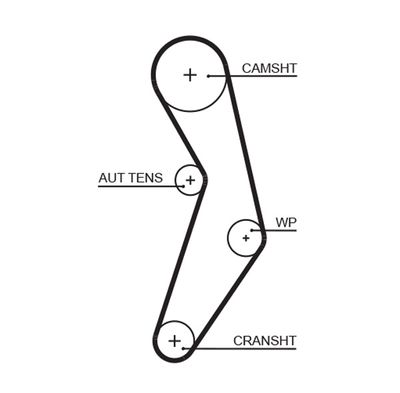 Timing Belt GATES 5503XS