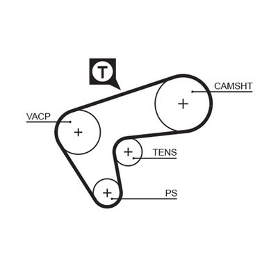 Timing Belt GATES 5513XS