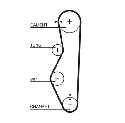 Timing Belt GATES 5521XS