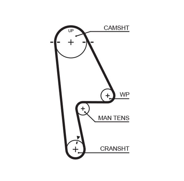 GATES 5529XS Timing Belt