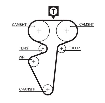 Timing Belt GATES 5539